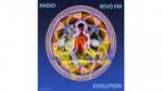 Ecouter Radio+Revo+FM+Evolution Tournai en direct Ecouter Radio+Revo+FM+Evolution Tournai en direct