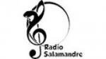 Écouter Radio Salamandre en live