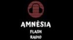 Écouter Amnesia Flash Radio en live