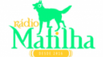 Écouter Radio Matilha en ligne