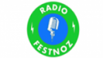 Écouter Radio Festnoz en live