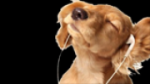 Écouter 90er Hits en live Écouter 90er Hits en live