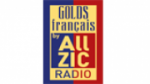 Écouter Allzic Radio Golds Français en direct