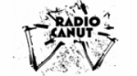 Écouter Radio Canut en direct
