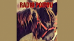 Écouter Radio Poitou en direct