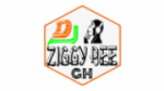 Ecouter Dj+Ziggy+Bee+pro Accra en direct Ecouter Dj+Ziggy+Bee+pro Accra en direct