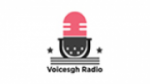 Écouter Voicesgh Radio en direct Écouter Voicesgh Radio en direct
