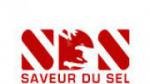 Écouter Radio Saveur Du Sel - Radio Sds en ligne