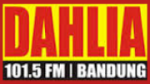 Écouter Radio Dahlia en live