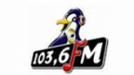 Écouter Pinguin Radio Bali en direct