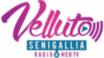 Écouter Radio Velluto en ligne Écouter Radio Velluto en ligne