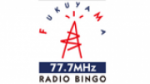 Écouter Radio Bingo en direct
