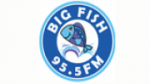 Écouter Big Fish en ligne