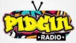 Ecouter Pidgin+Radio Ogudu en direct