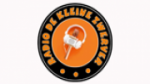 Écouter Radio de kleine zwerver en ligne Écouter Radio de kleine zwerver en ligne