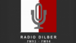 Écouter Radio Dilber Swabi en live Écouter Radio Dilber Swabi en live