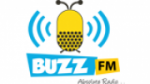 Écouter Buzz FM en direct