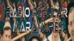 Ecouter Radio+Popular+Maramures Zalău en direct