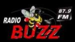 Écouter Buzz FM en direct