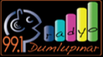 Écouter Radyo Dumlupinar en live Écouter Radyo Dumlupinar en live