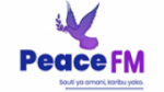Écouter Peace Fm Radio en direct