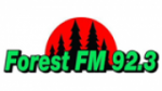 Ecouter Forest+FM Verwood en direct