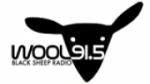 Ecouter Black+Sheep+Radio+-+WOOL+91.5+FM Bellows Falls en direct