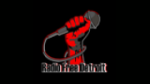 Écouter Radio Free Detroit en direct
