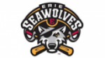 Écouter Erie SeaWolves Baseball Network en direct