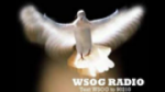 Écouter WSOG Catholic Radio 88.1 FM en direct