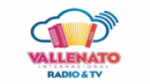Écouter Vallenato Internacional Radio.Net en live