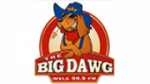Écouter The Big Dawg en live