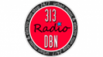 Écouter 313 DBN Radio en direct