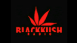 Ecouter Black+Kush+Radio Maple Heights en direct