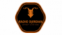 Radio Djerdan