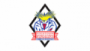 Fischtown Pinguins