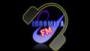 Radio INDOMITA FM