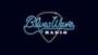 BluesWave Radio