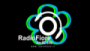 Radio Fiore