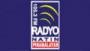 Radyo Natin - Pinamalayan