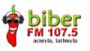 Écouter Biber FM