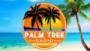 Écouter Palm Tree Radio