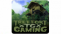 Treefort Gaming Radio
