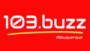 103.Buzz