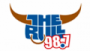 98.7 The Bull